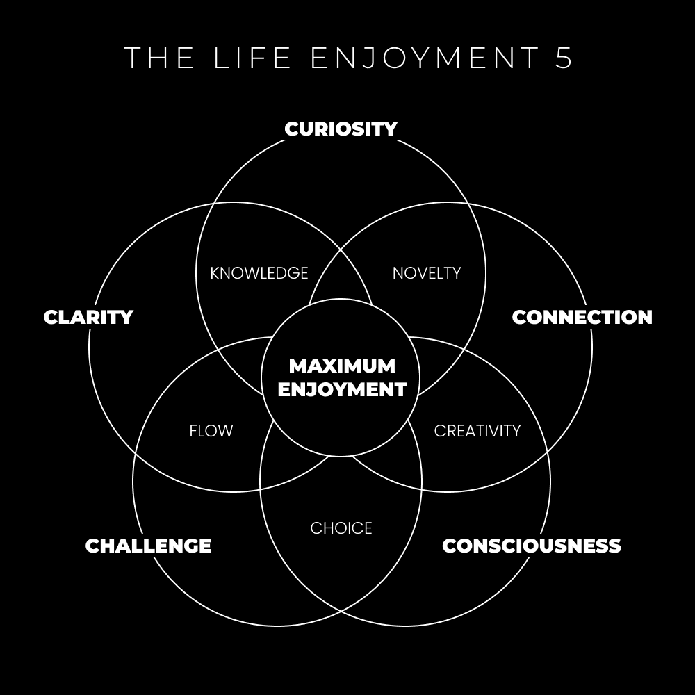 The Life Enjoyment 5 - curiosity, clarity, connection, challenge, and consciousness